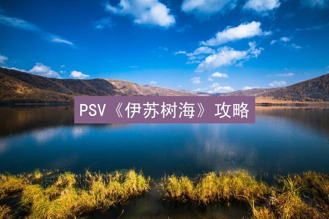 PSV《伊苏树海》攻略